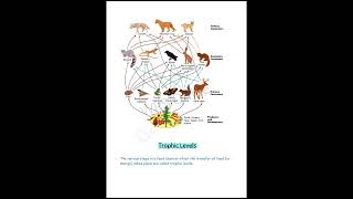 our environment notes class 10 || pdf link in description