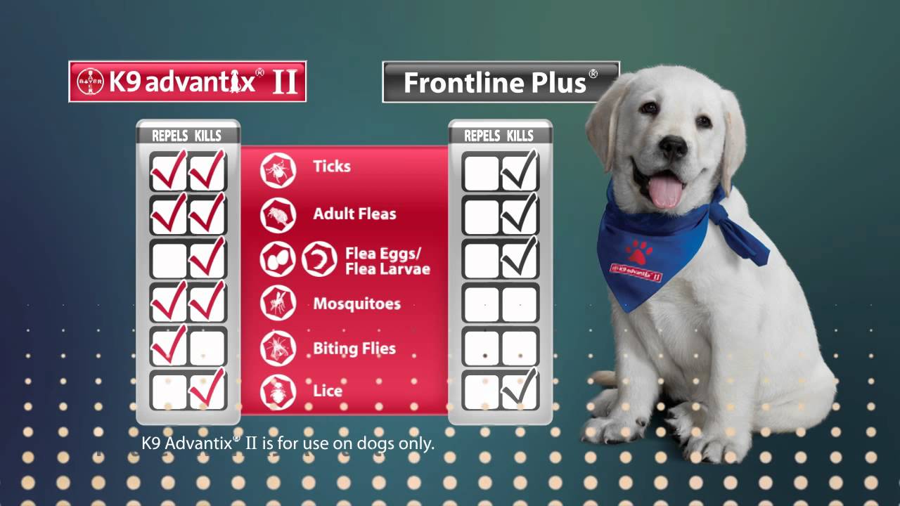 canine advantix 2