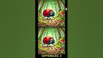 FIND THE 3 DIFFERENCE #57 I Quick-witted gameshow I