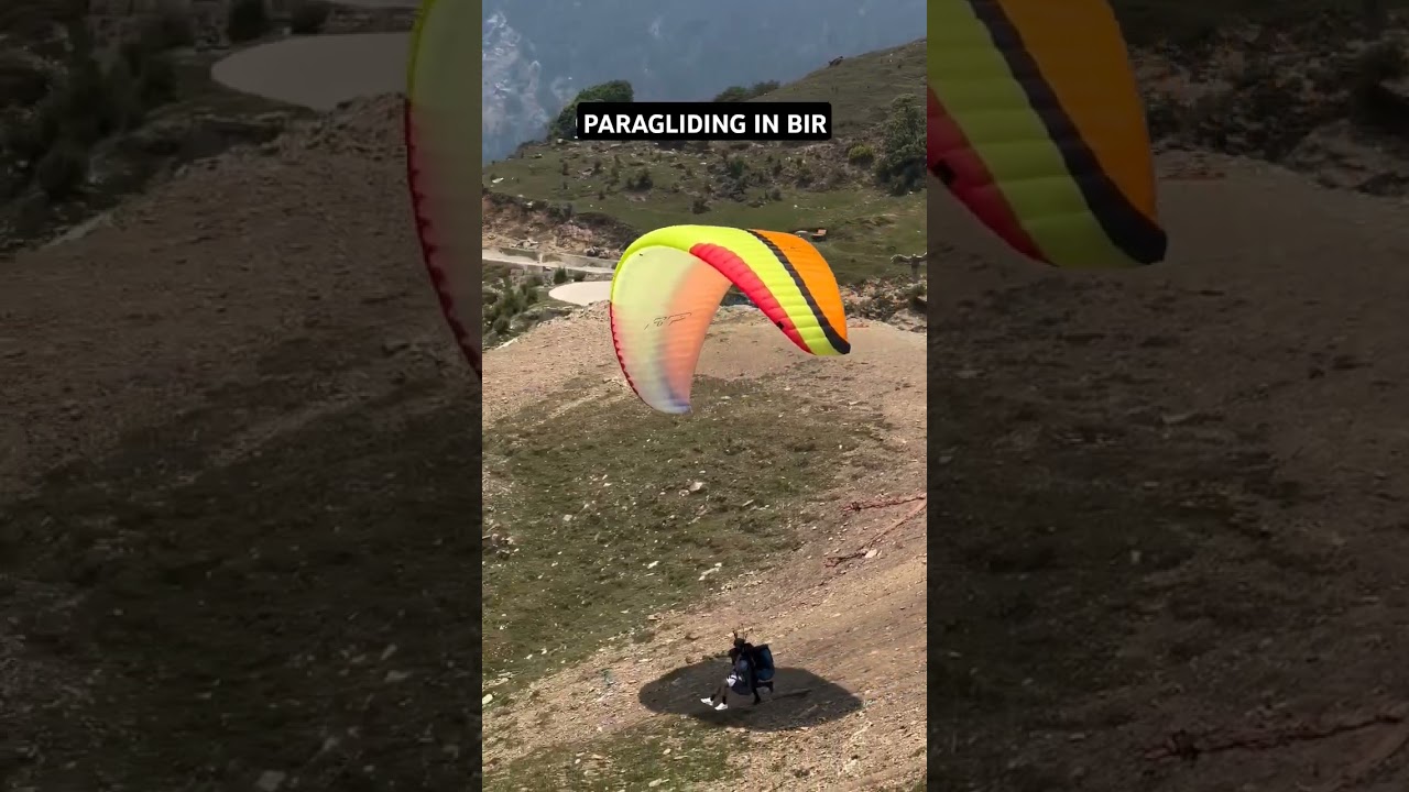 paragliding in bir billing 