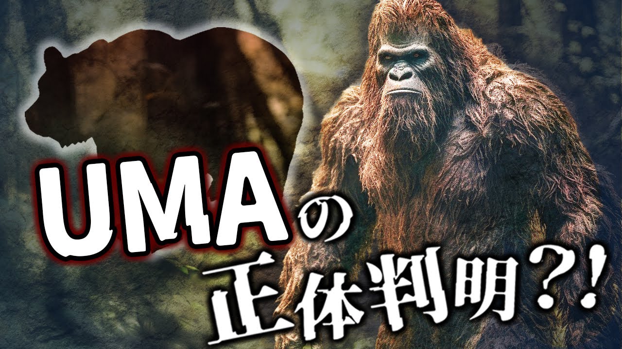 【ゆっくり解説】UMAの正体　実はあの古代生物だった？！