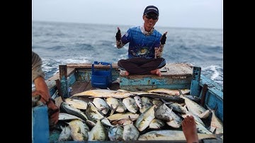 Jigging Côn Đảo p4 -  Cá bè trang ăn liên tục