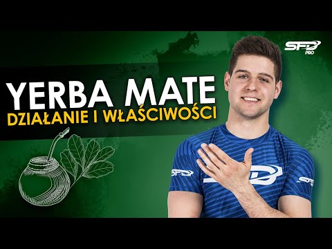 Wideo: Co to jest napój yerba mate?