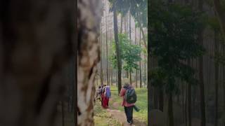 Download Lagu gemar sekali kau lukis.... MP3