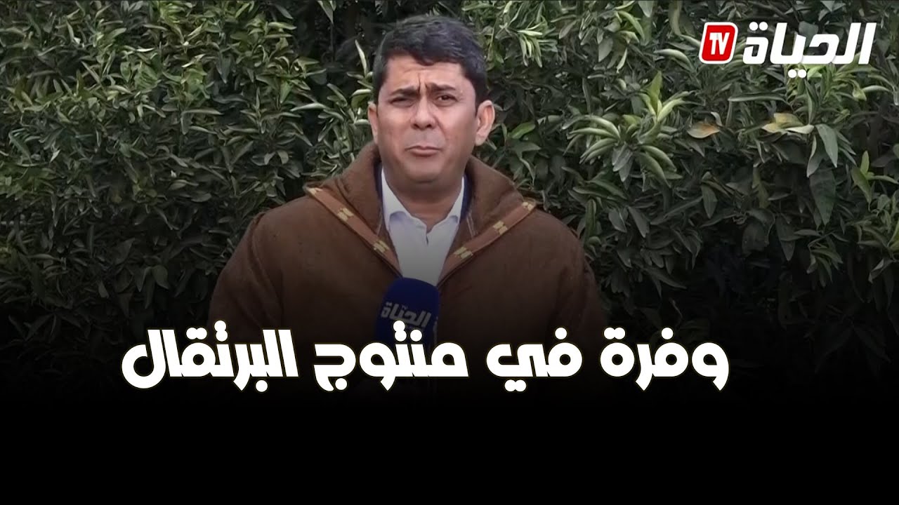 كل شيء عن الفلاح - اجتهاد الفلاحين مالمستثمرين يحصد وفرة في منتوج البرتقال بالبليدة