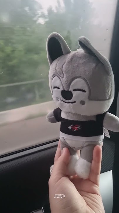 Traveling with bangchan Путешествие с Банчаном 🐺 ️ #skzoo #skz # ...
