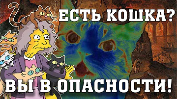 Токсоплазмоз / Как кошки сводят с ума