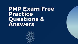 PMP Project Management Professional Exam Practice Questions [New] Part 1 screenshot 5