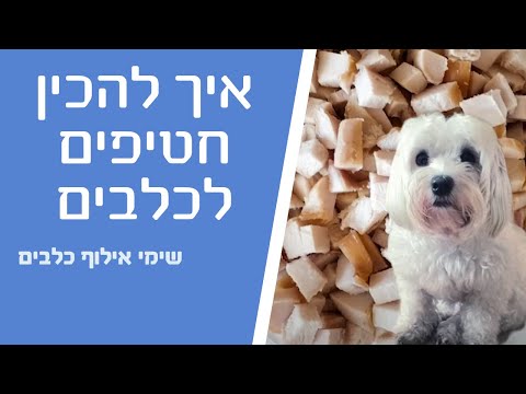 איך להכין חטיפי אילוף ביתיים לכלבים - שימי אילוף כלבים