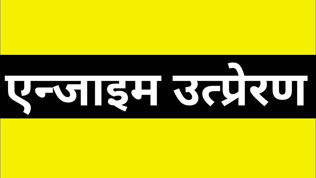 What Is Enzyme Catalysis Class 12th Board Exam what-is-enzyme-catalysis-class-12th-board-exam