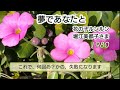 夢であなたと「花の子ルンルン」堀江美都子さま / 歌ってみました No.95 アカペラ " with you in a dream " Mitsuko Horie