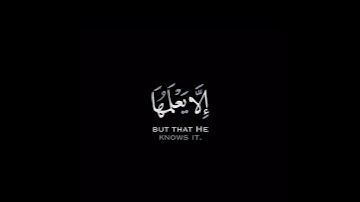 كروما شاشه سوداء قرآن كريم🍁 تلاوة خاشعة من سورة الأنعام🍁 القارئ #طارق_محمد #القرآن_الكريم