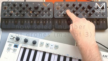 SKULPT synthesiser - 8 Voice Polychain