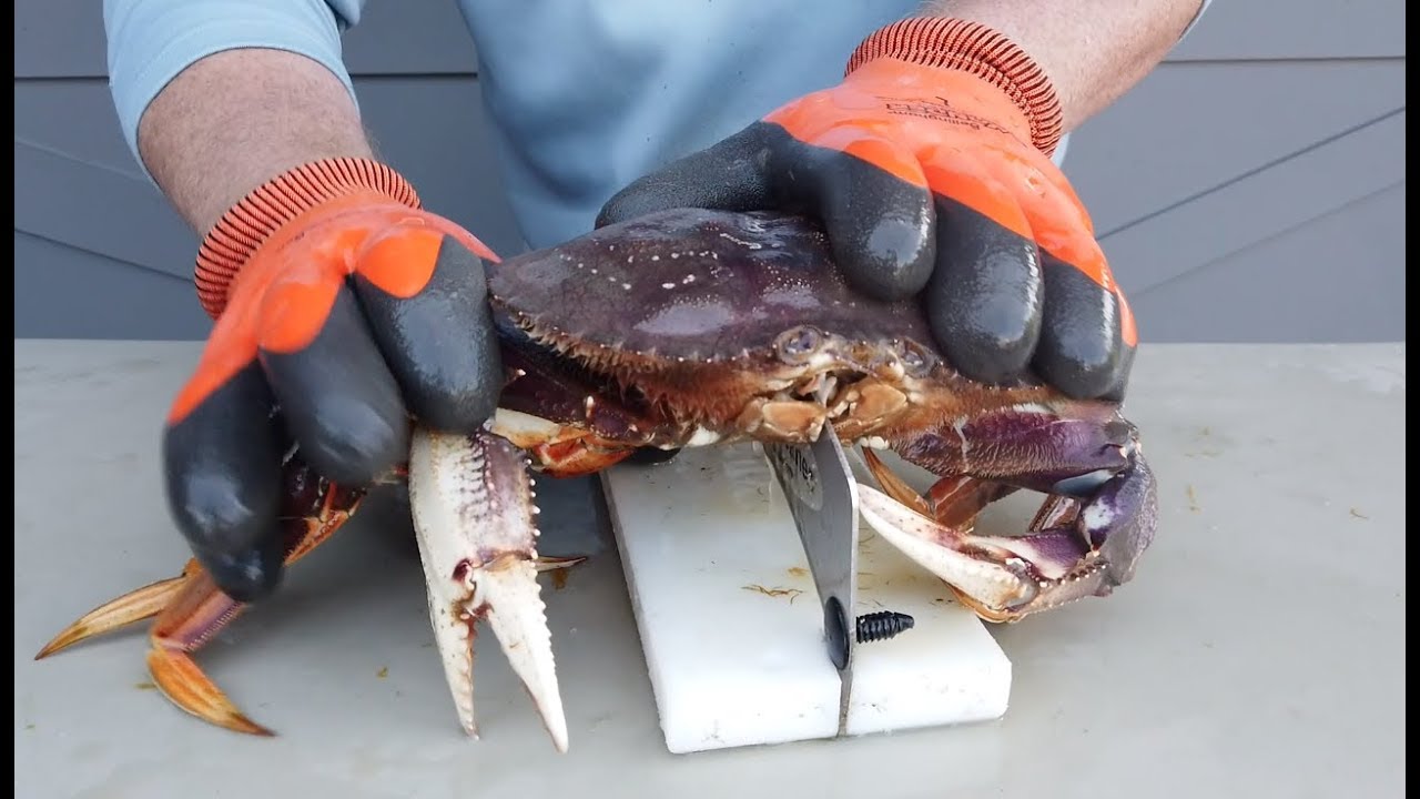 The Ultimate Easy to Use Dungeness Crab Cleaning Combo