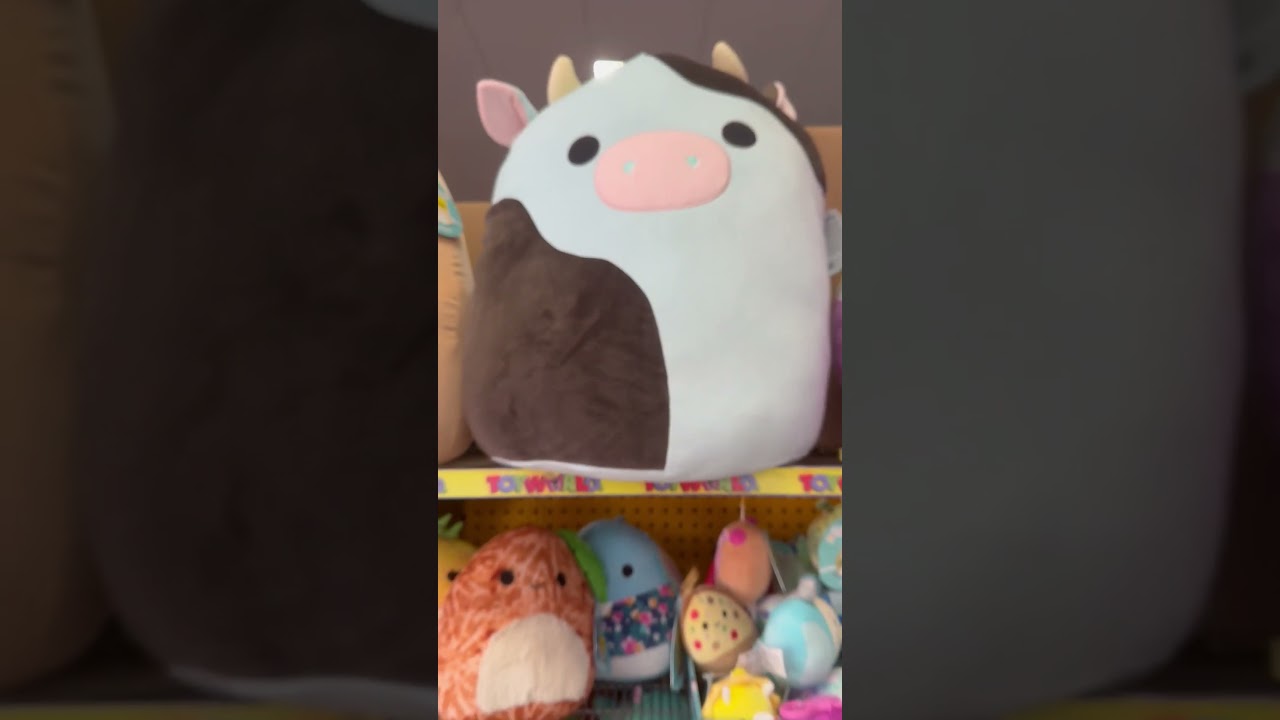 CUTEST 5" SQUAD @ WOOLWORTHS AUSTRALIA!! 