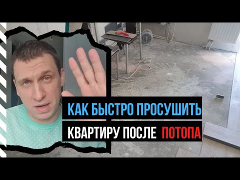 Как быстро просушить, высушить квартиру, дом, пол, стены после затопления (потопа) или от сырости?