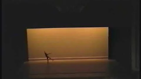 The elements 3-25-1995 Dennis Poole