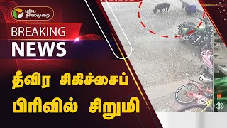 #BREAKING | தீவிர சிகிச்சைப் பிரிவில் சிறுமி | Rottweiler Dog | Chennai | PTT