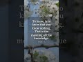 True Knowledge Begins With Knowing Nothing | Socrates #Shorts #thequietEngine