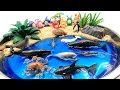 Sea Animals toys and DIY Beach! Learn Sea Animal Names with Ocean Shark and Dolphin Toys For Kids