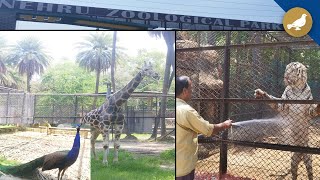 Hyderabad zoo installs coolers, sprinklers to protect animals from heat