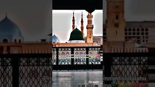 All Indian Muslim Are Requested For Maddina