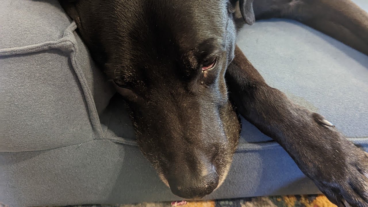 Jedi - Dirty Toenail