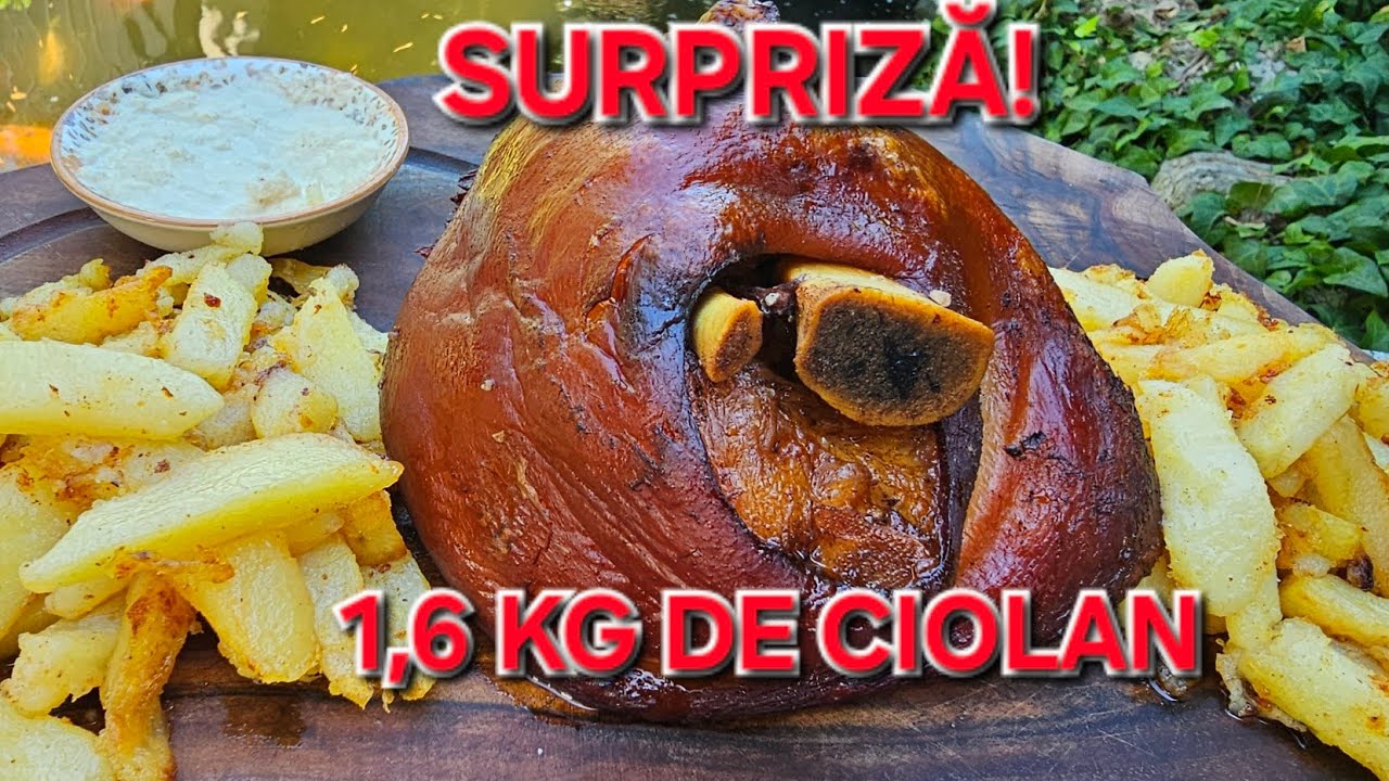 La CERBUL CARPATIN acest  ciolan este 190 ron! Cat costa sa faci acasă. Incredibil!