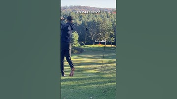 Flushed stinger 3 wood 🐝 #golf