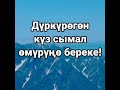 Видео по запросу "оригиналдуу каалоо тилектер туулган кунго"