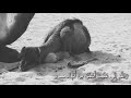 يا عشيري تراني عليك ماني متغير