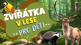 Zvířátka v lese a jejich zvuky 🐗🌲 | Pro děti | Poznáš všechny lesní zvířátka?