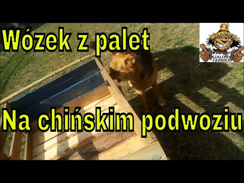 Wideo: Jak Ozdobić Wózek Na Paradę Wózków