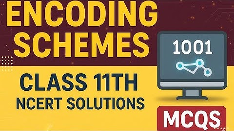 Encoding Schemes | NCERT Solutions + Important MCQs | Class 11 Computer Science