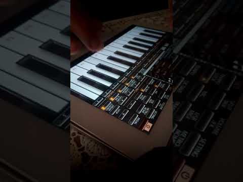 Senti Rai Org Cheb Dejlil Houwa Kasek We Khalak