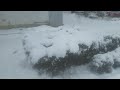 04.02.2023. (17:17) Львов, Украина. Снега выпало очень много, что трамвай и тот заблудился...