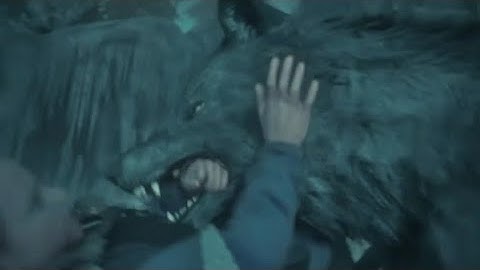 Wolf Attack Young Eivor | Assasins Creed Valhalla