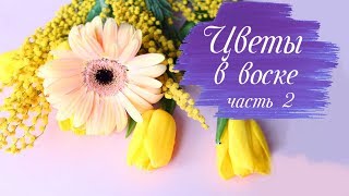 видео: БОЛЬШЕ НЕ НУЖНО ВЫБРАСЫВАТЬ ЦВЕТЫ! ТЮЛЬПАНЫ, ГЕРБЕРА и МИМОЗА!!!! Как продлить жизнь цветам? картинка: БОЛЬШЕ НЕ НУЖНО ВЫБРАСЫВАТЬ ЦВЕТЫ! ТЮЛЬПАНЫ, ГЕРБЕРА и МИМОЗА!!!! Как продлить жизнь цветам?