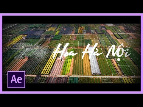 Hiệu ứng chữ tan biến với After Effects | Học After Effects cơ bản | Biên tập video