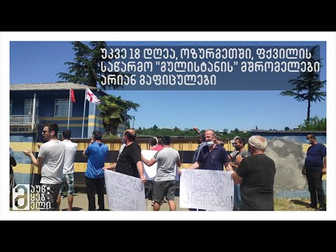 ოზურგეთში, \"გულისტანის\" მშრომელების გაფიცვა უკვე 18 დღეა გრძელდება