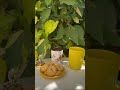 ШµШЁШ Ш Ш ШЄ ШіЩ ШЇШ Щ ЩЉЩ вќ пёЏвЂЌрџ ШµШЁШ Ш Ш ШЄ ШіЩ ШЇШ Щ ЩЉЩ вќ пёЏвЂЌрџ