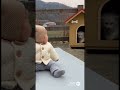 赤ちゃんと犬の絆 #赤ちゃん #犬 #baby #dog