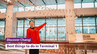 Download lagu Best things to do in Terminal 1: An Insider’s Guide by a Changi Youth Ambassador