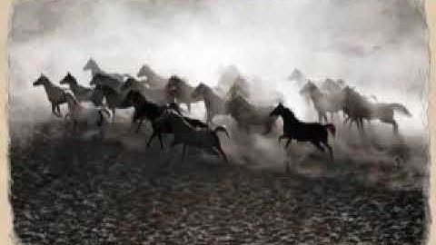 سورة العاديات تلاوة الشيخ ياسر الدوسرى-Souret Al Adyat