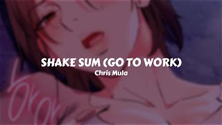 Chris Mula - Shake Sum (Go to work) // Sub. Español