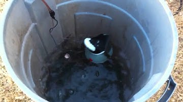 Homemade pulsator duck