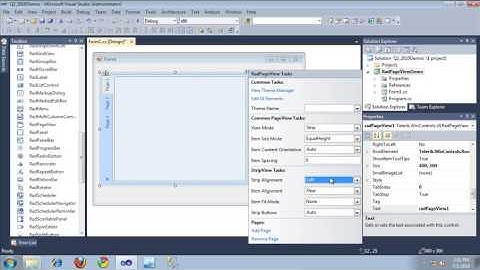 Getting Started With RadPageView
