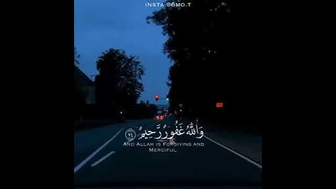 (أفلا يتوبون إلى الله ويستغفرونه والله غفور رحيم )ياسر الدوسري (حالات واتساب ) سورة المائدة