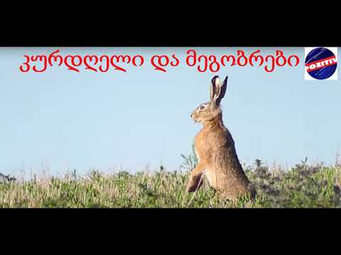 იგავი - კურდღელი და მეგობრები