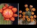 Hypnotic cactus flowers blooming time lapse  bored panda art